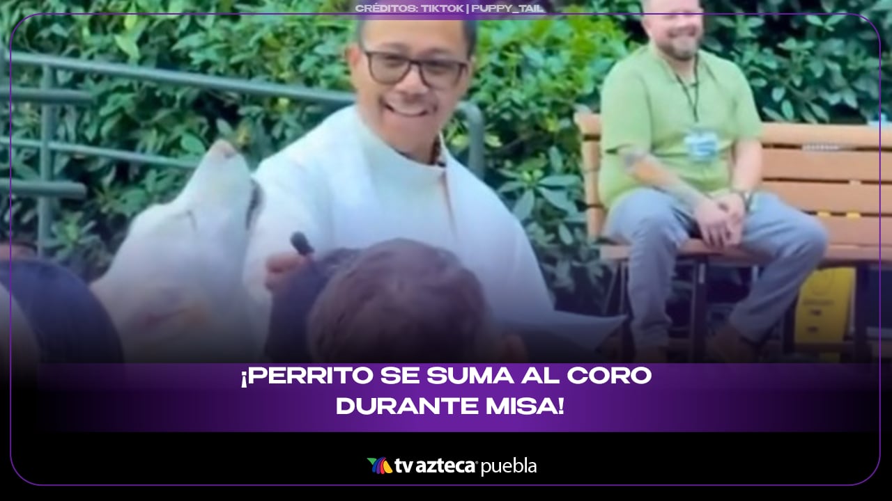 Perrito se suma al coro durante misa