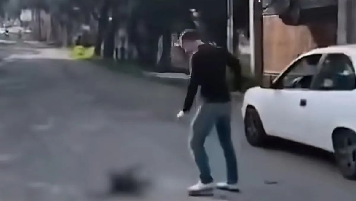 VIDEO: Atropellan a perrito; es pateado en lugar de ser auxiliado en plena vialidad