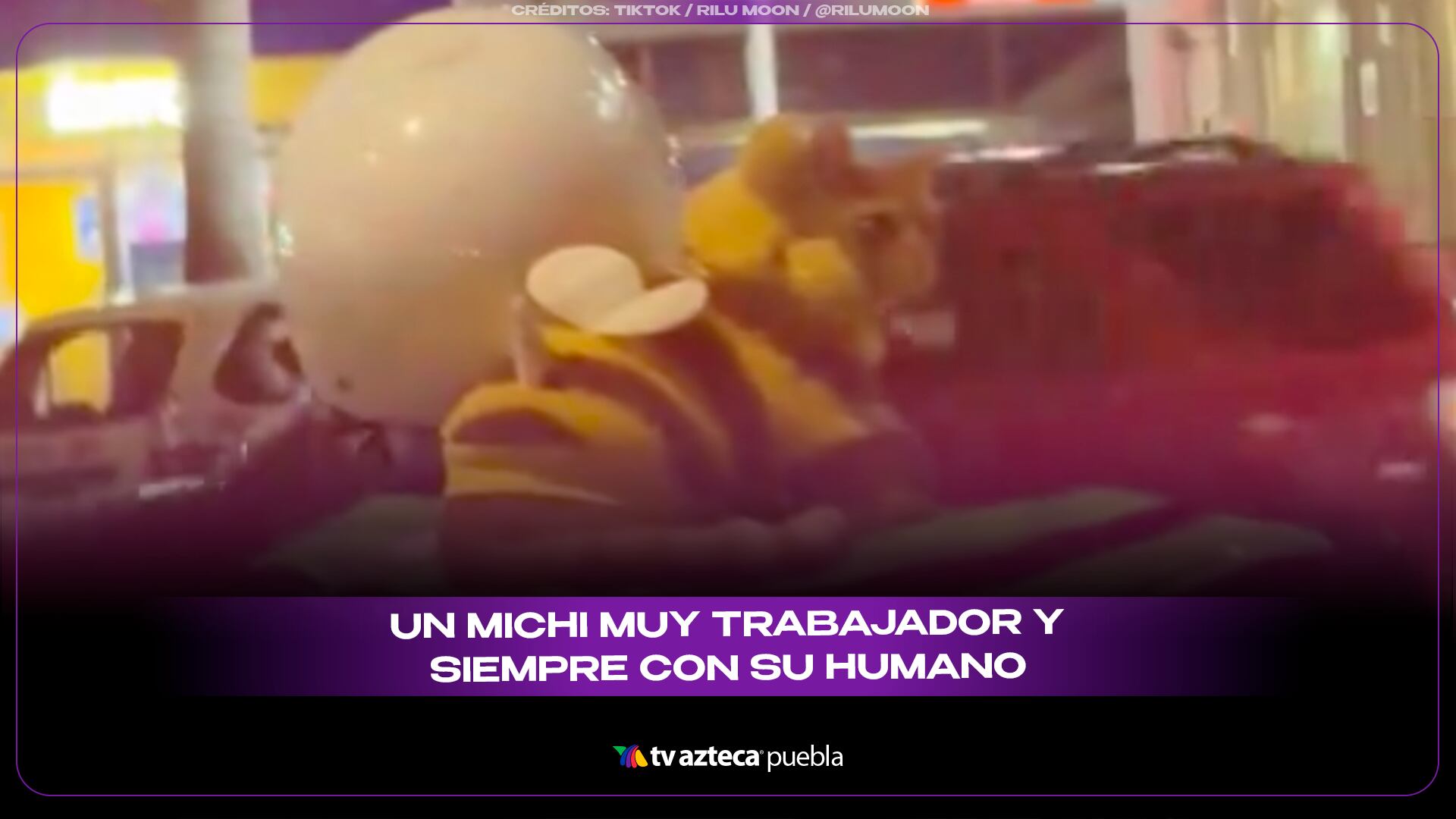 MICHI CHAMBEADOR.png