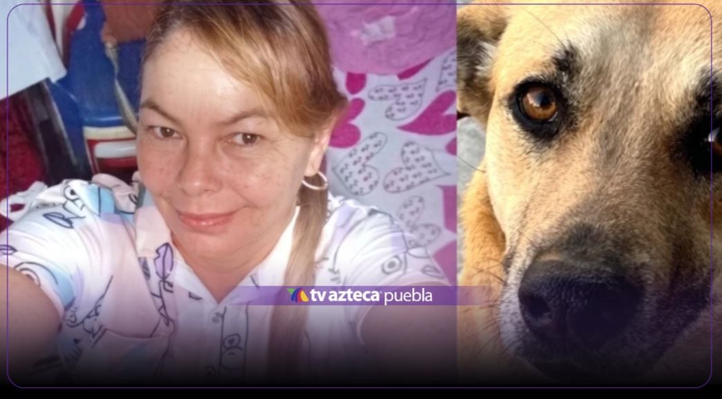Crédito: Redes Sociales