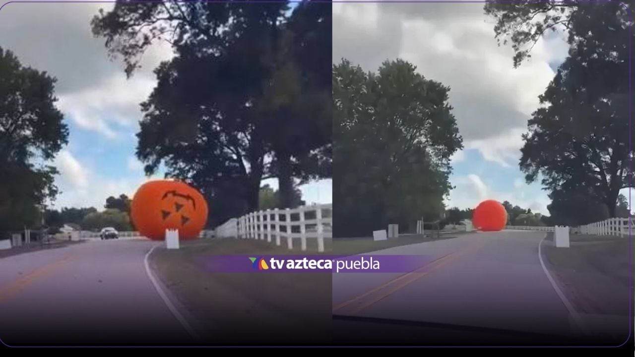 VIDEO: Captan a calabaza gigante rodando sobre calles; así sorprendió a conductores