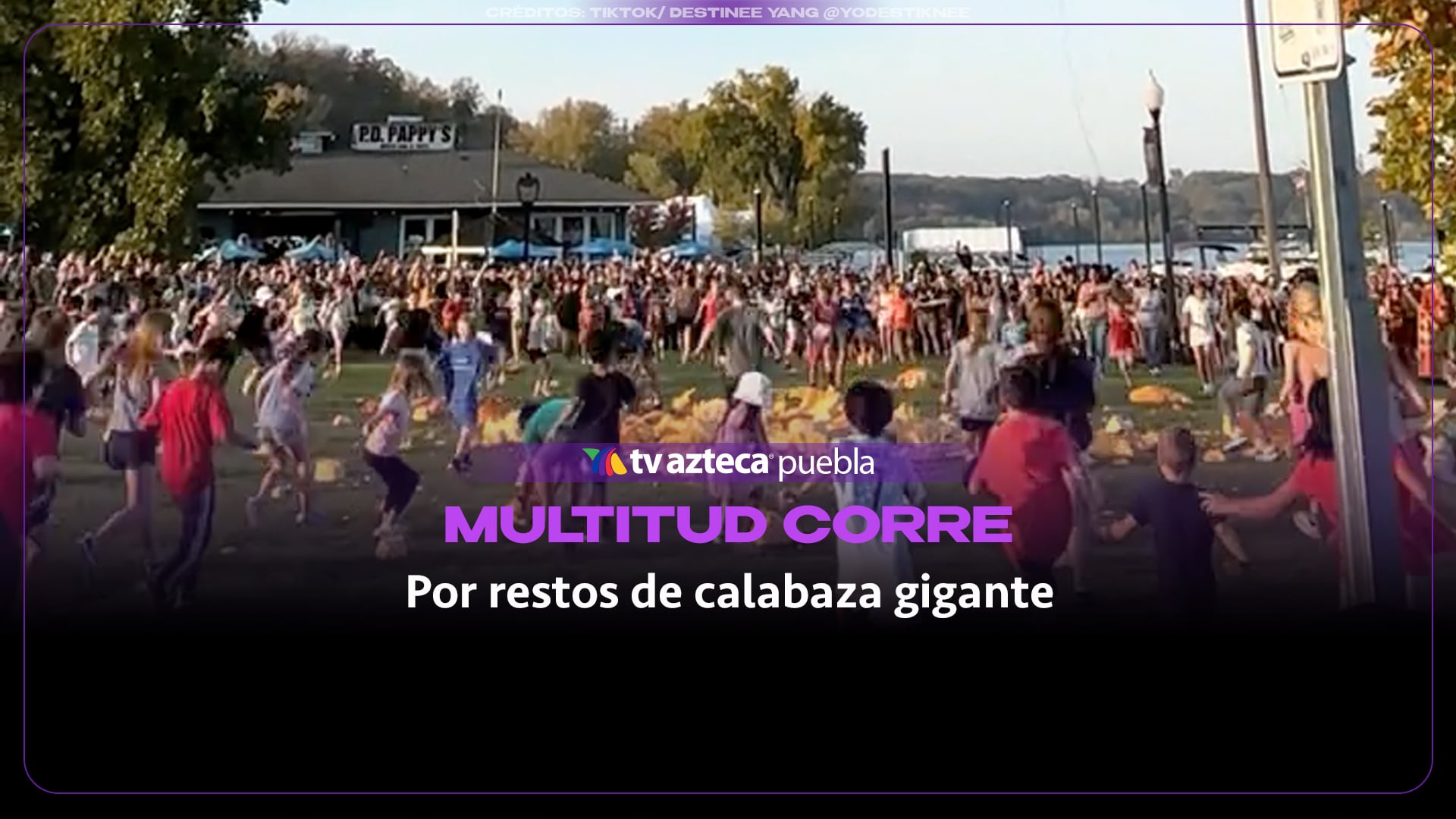 Multitud corre por restos de calabaza gigante