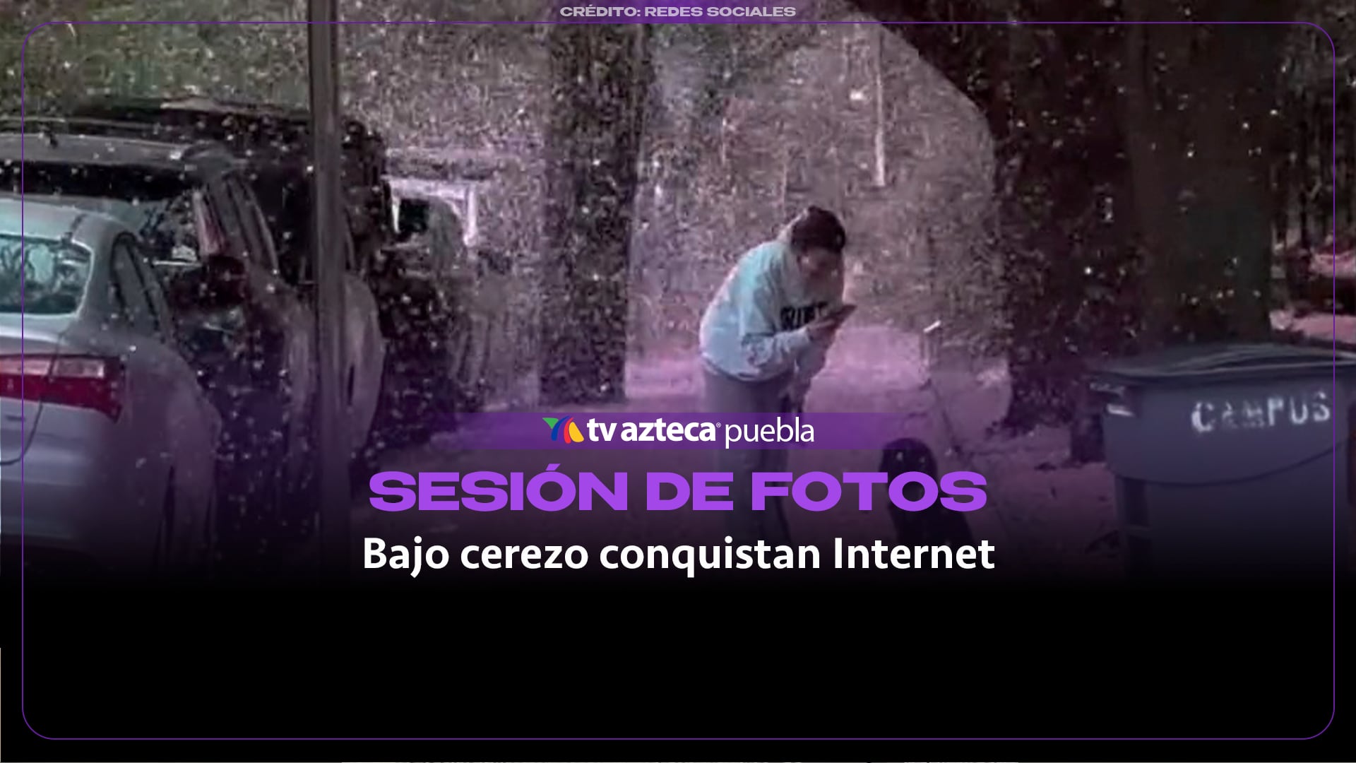 Mujer fotografía a su mascota bajo una lluvia de flores