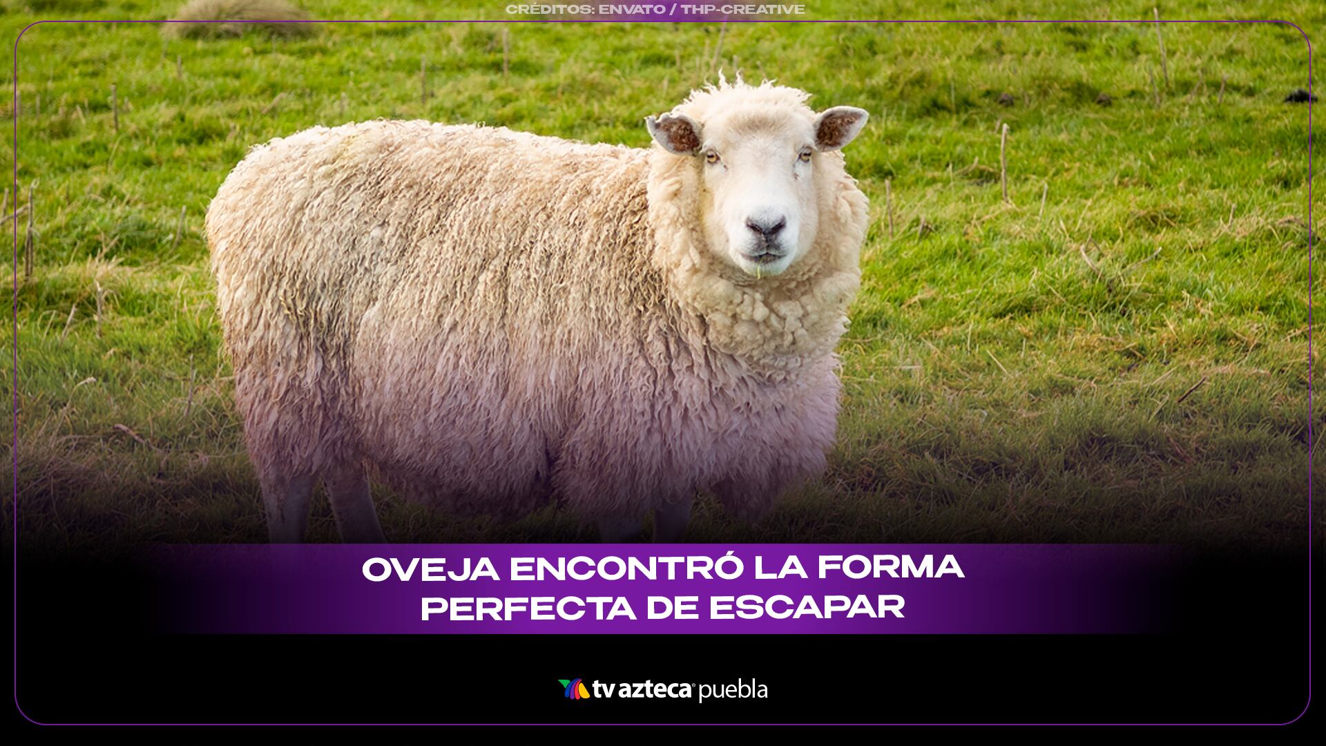 FORMA PERFECTA DE ESCAPAR.png