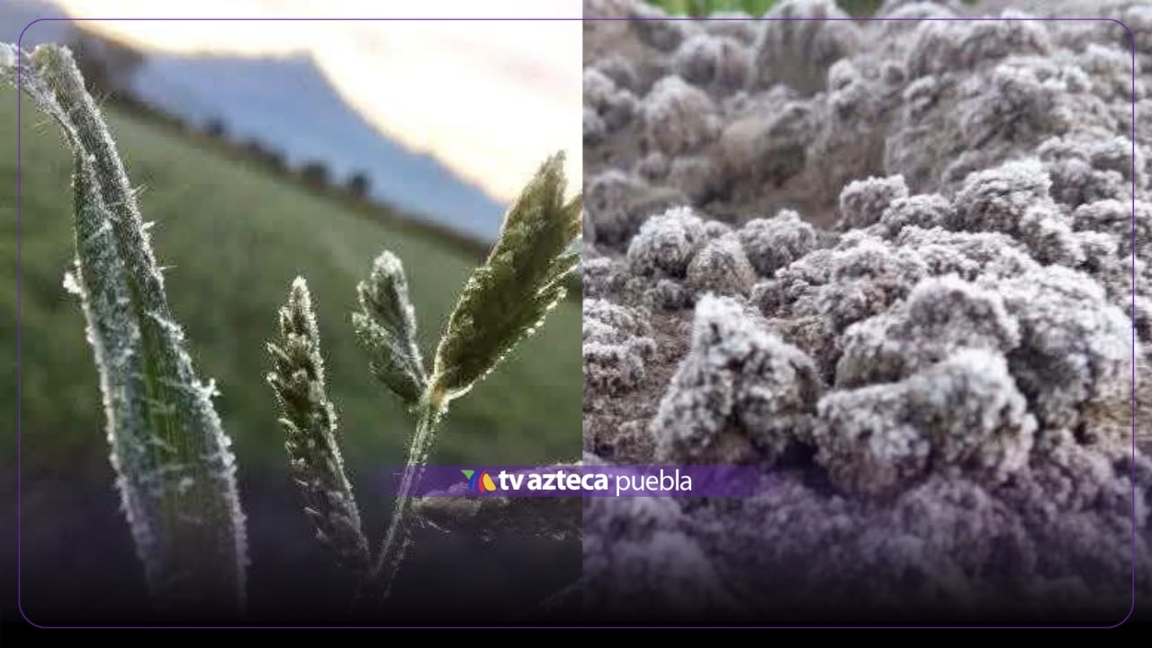 IMÁGENES: Puebla amanece bajo hielo, HOY; reportan primeras heladas en varios municipios