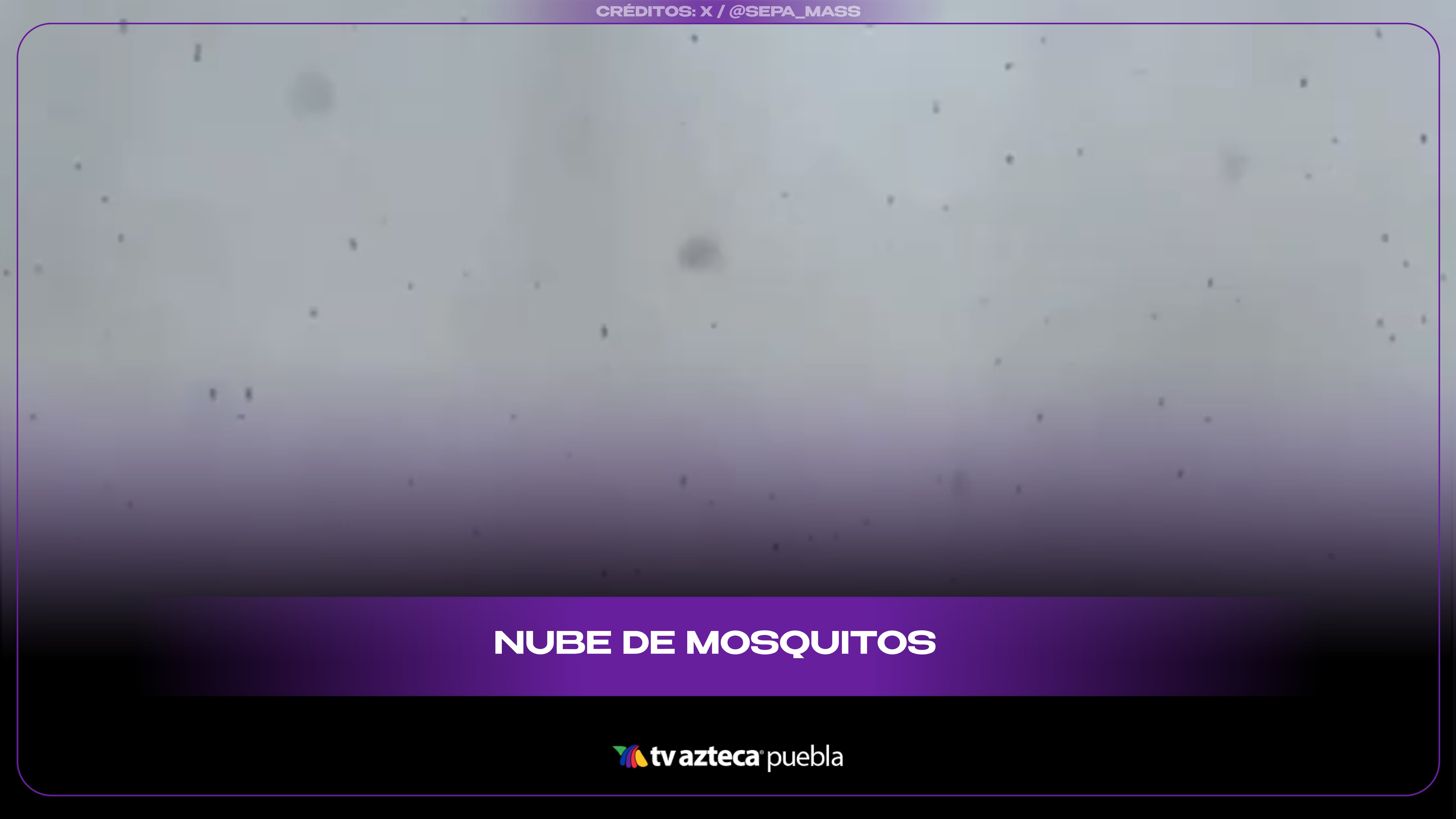 Enorme nube de mosquitos en una carretera de Siberia desata asombro en redes sociales