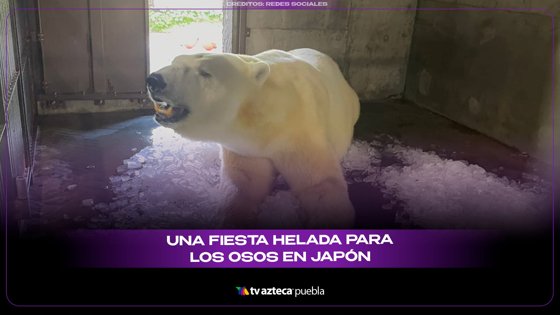 FIESTA HELADA.png