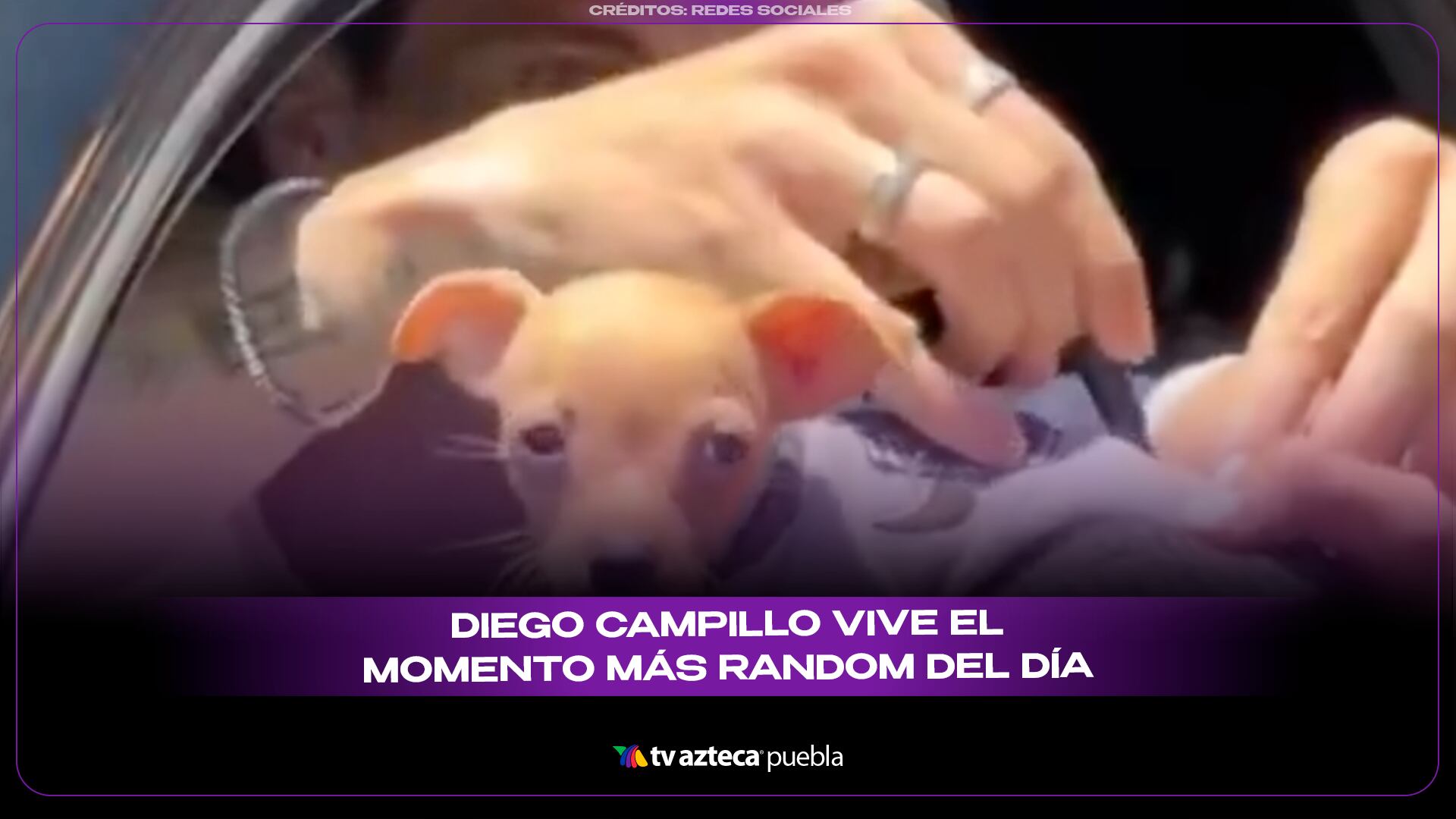DIEGO CAMPILLO.png