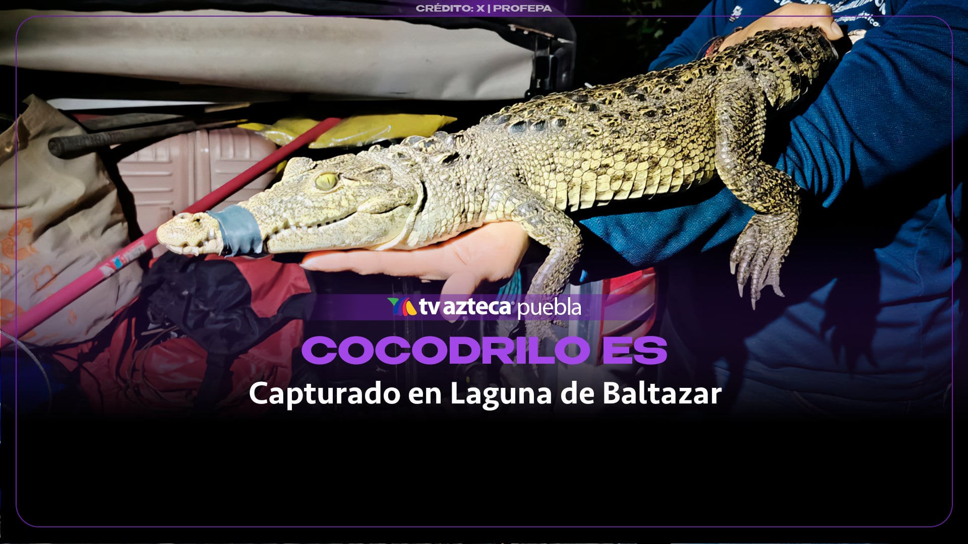 Fugaz fue capturado tras casi 11 meses en la laguna de San Baltazar