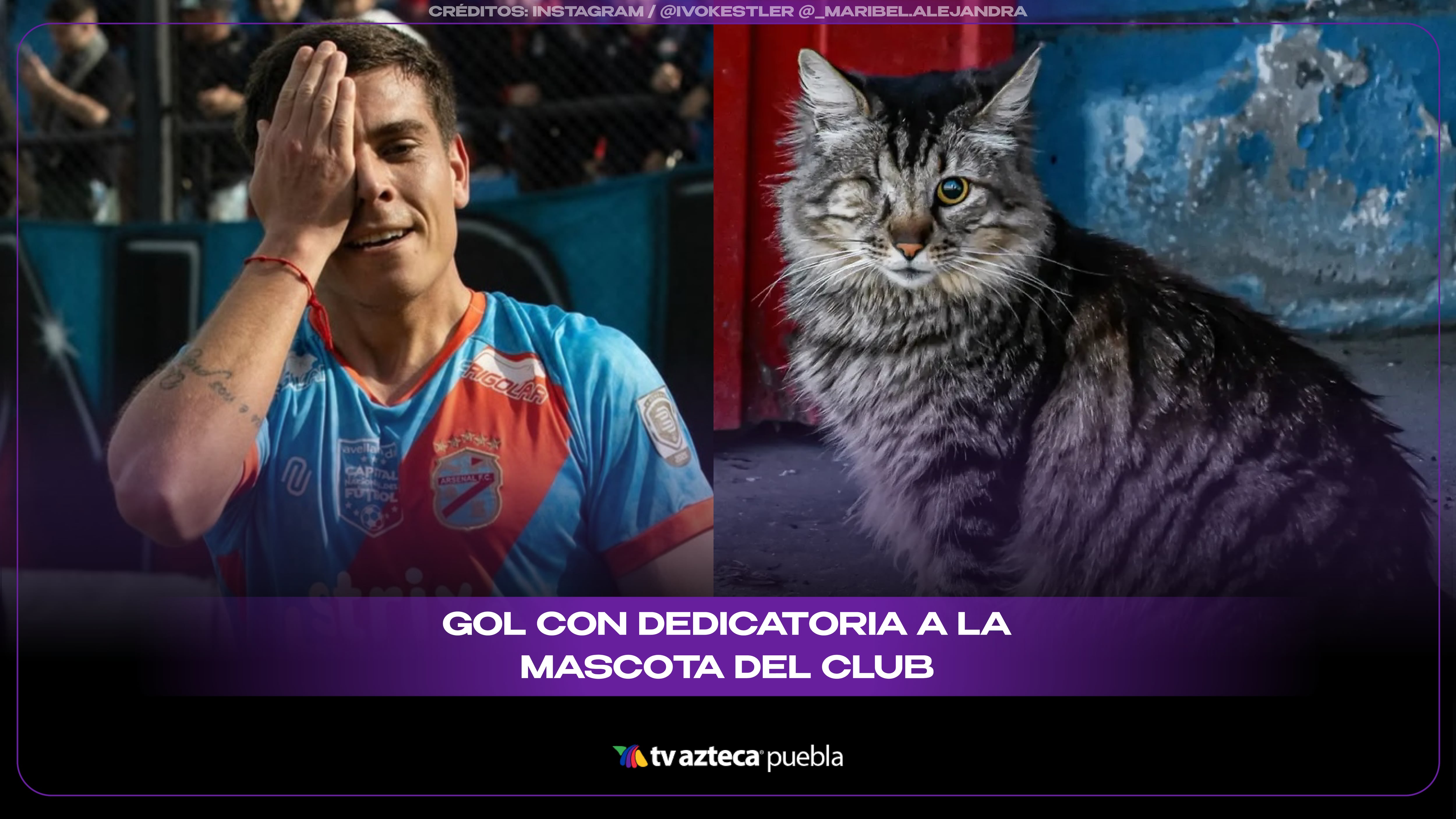 Futbolista dedica emotiva celebración a Tatú, la mascota de su club