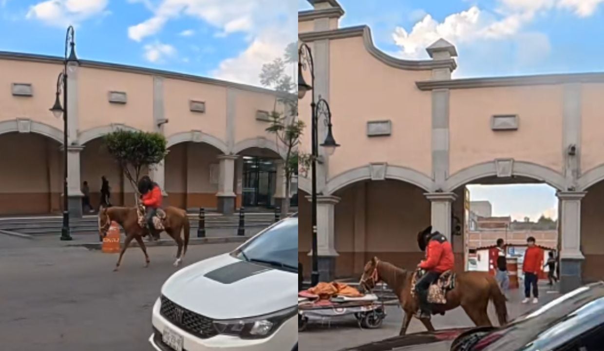 caballo automatico