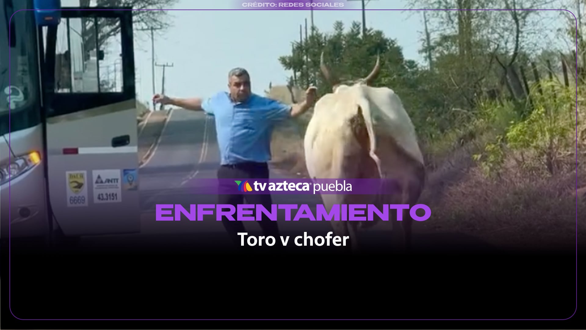 Conductor de autobús se enfrenta a un toro en una carretera de Brasil