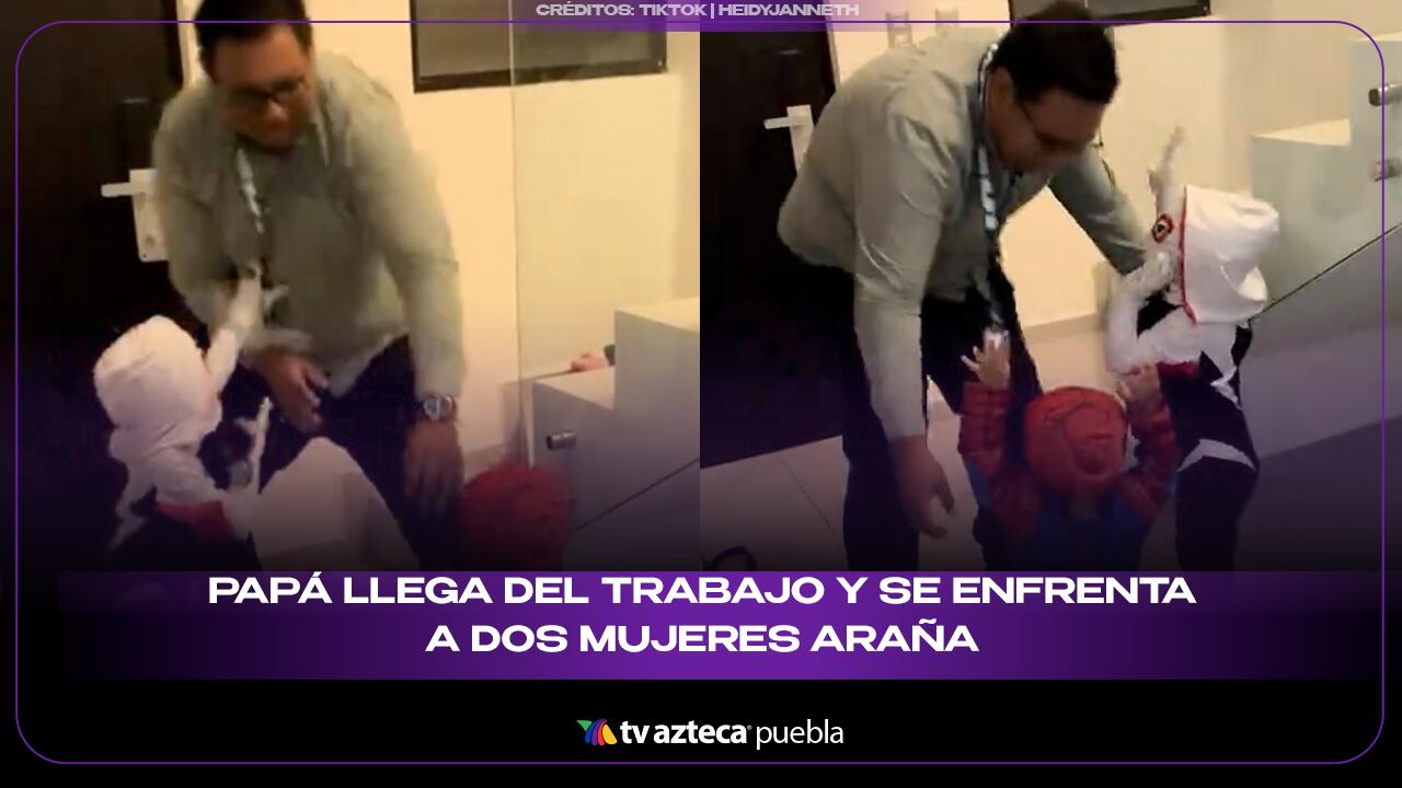 ¡Papá llega del trabajo y se enfrenta a dos Mujeres Araña!