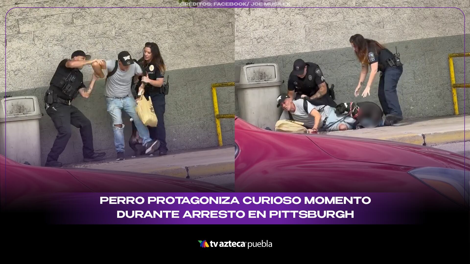 Perro protagoniza curioso momento durante arresto en Pittsburgh