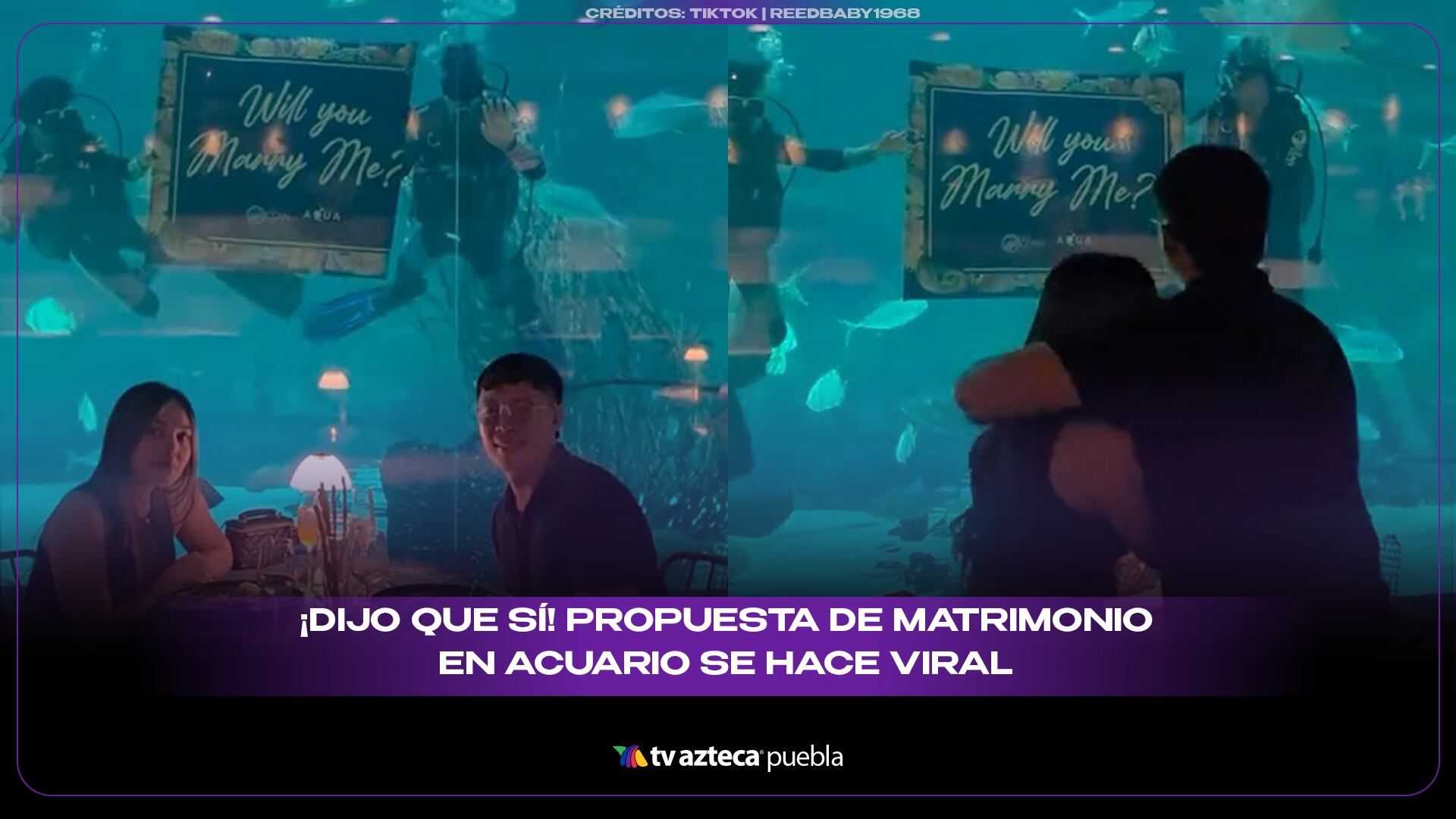¡Dijo que sí! Propuesta de matrimonio en acuario se hace viral