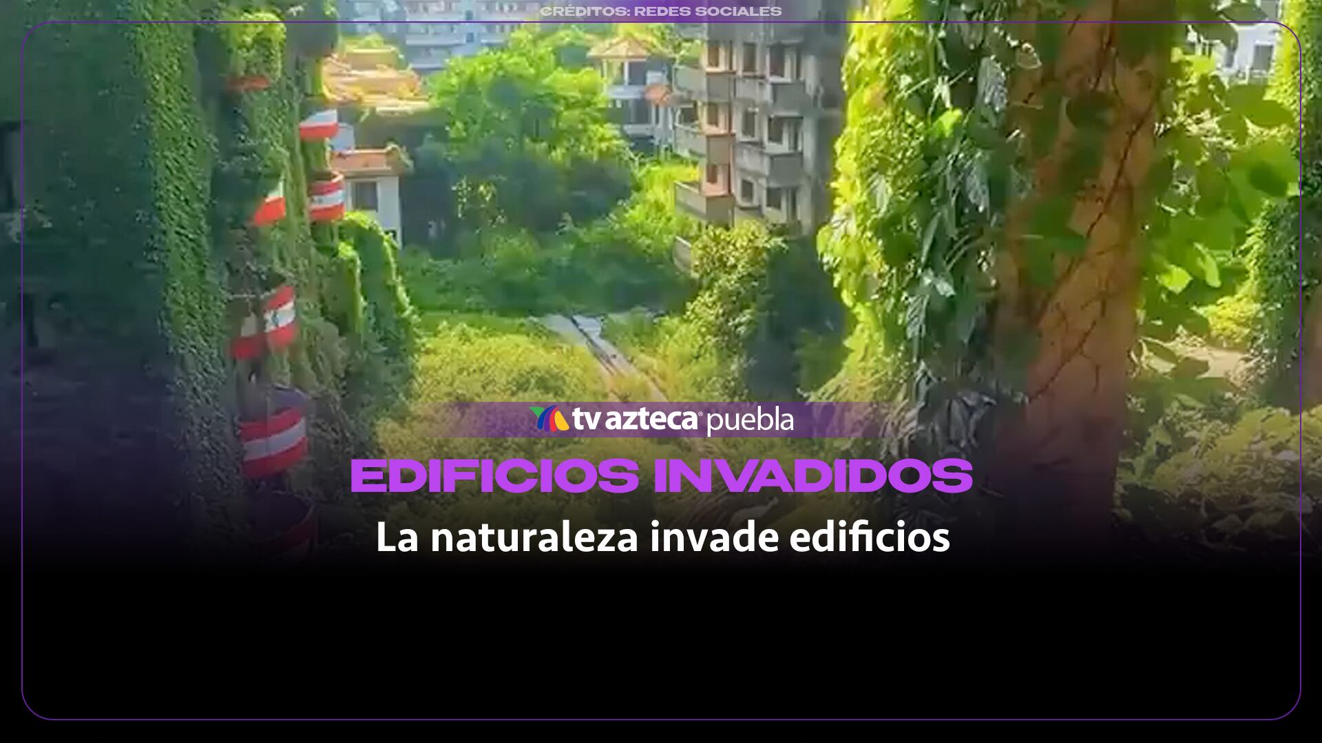 Edificios abandonados en China quedan cubiertos de vegetación