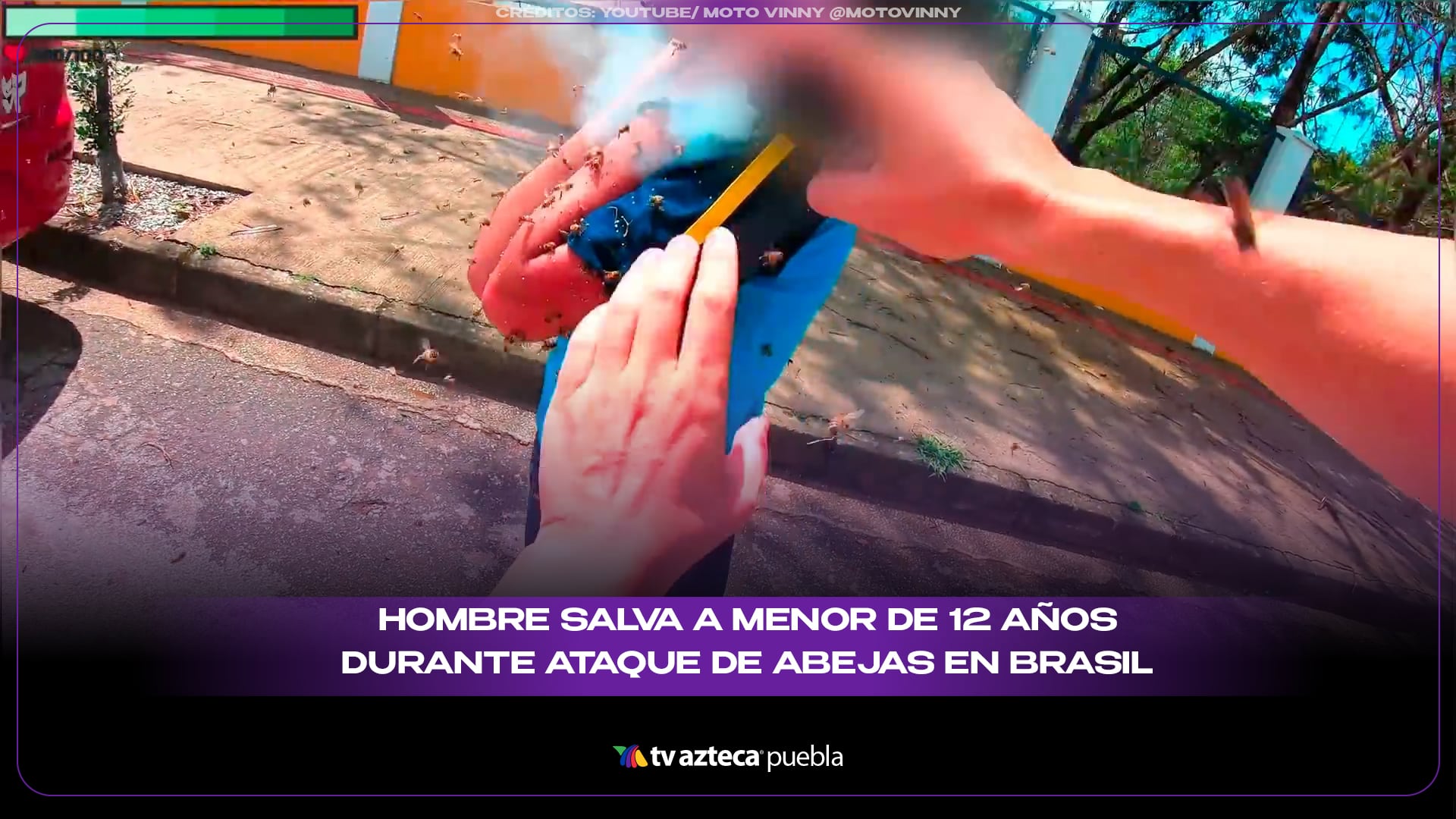 Hombre salva a menor de 12 años durante ataque de abejas en Brasil
