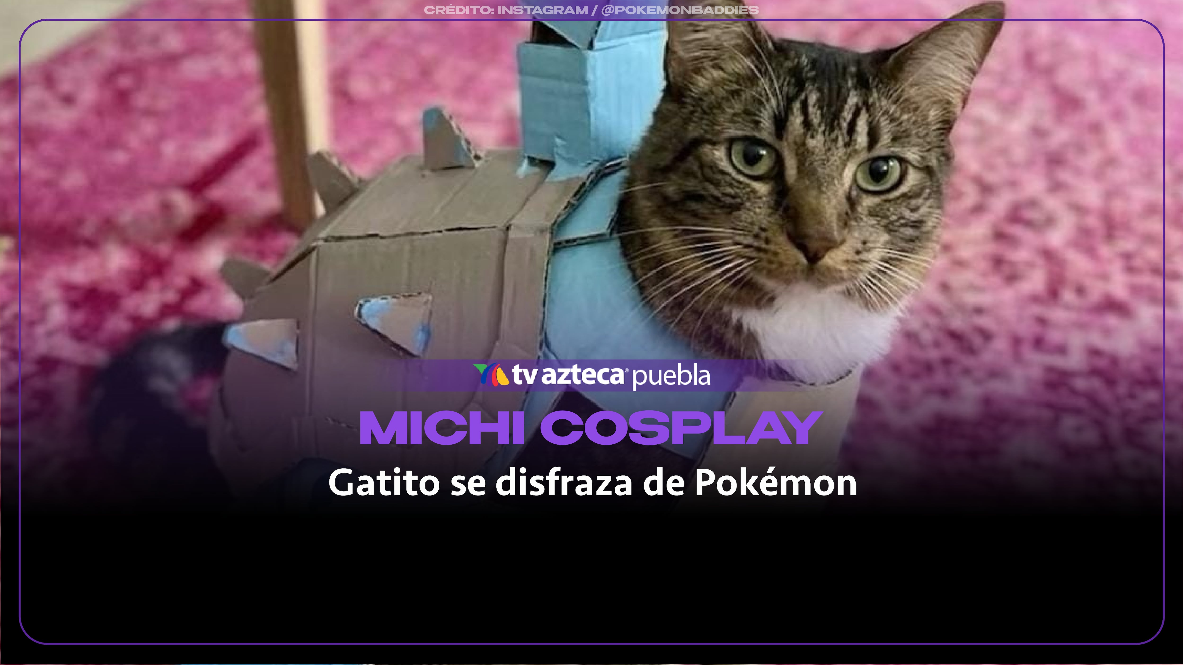 ¡Hazlos todos! Un tierno gatito se vuelve viral al hacer cosplay de Pokémon