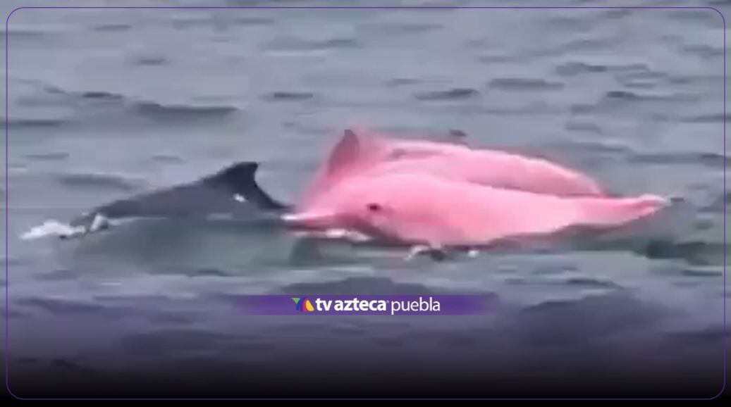 Crédito: Redes Sociales