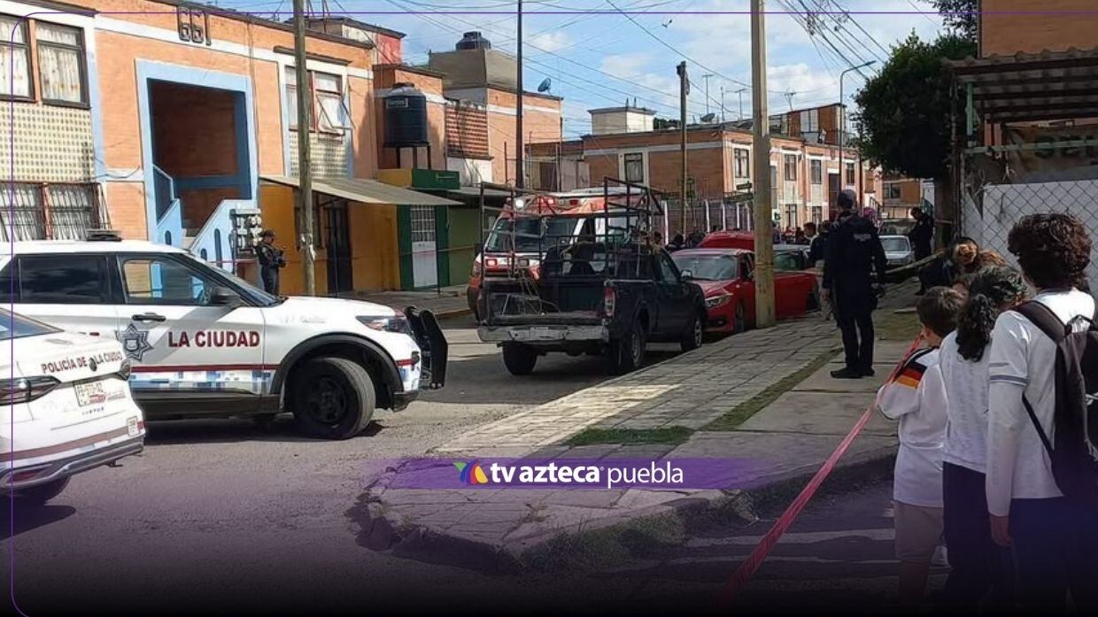 baleado bosques