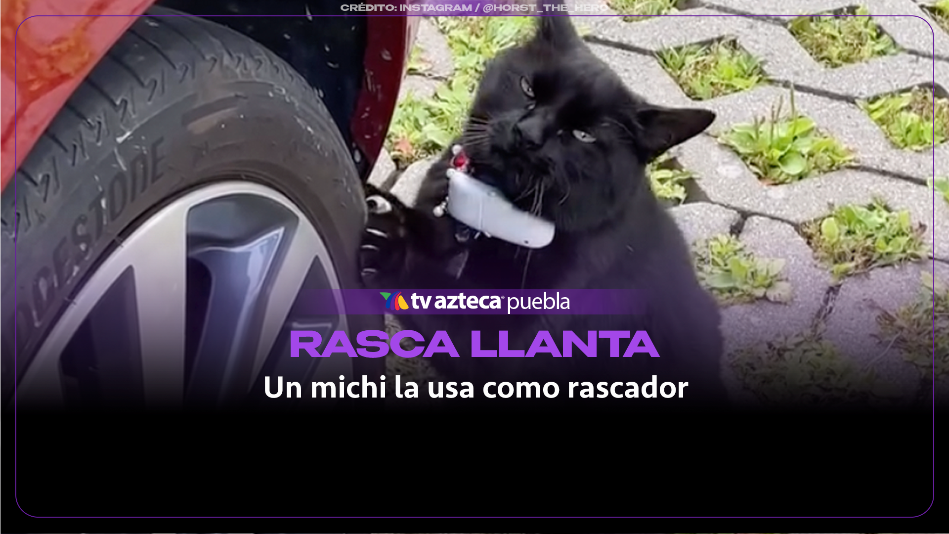 Curioso gato negro utiliza la llanta de un automóvil como su rascador favorito y se vuelve viral