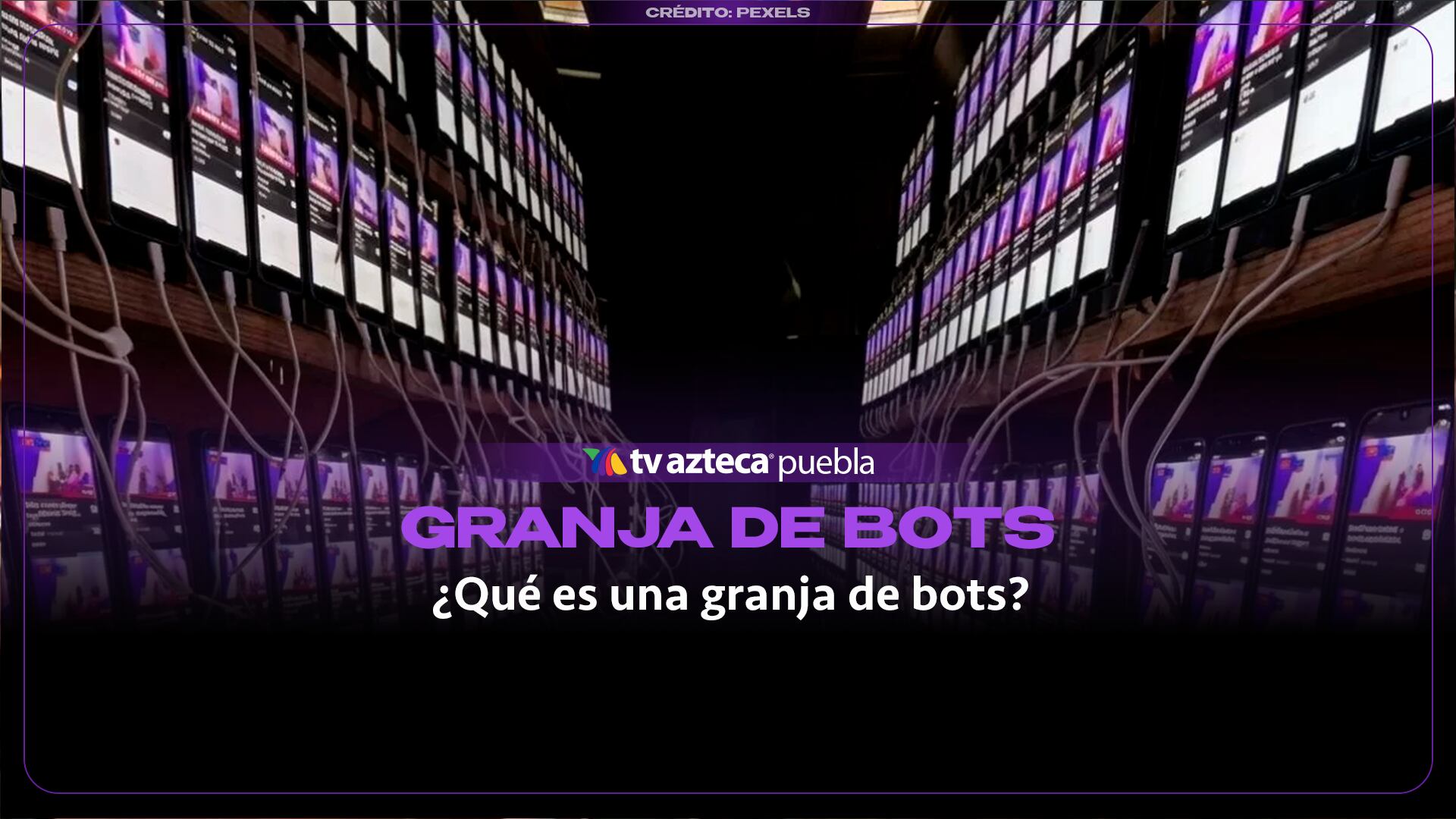 ¿Granja de bots? Así funcionan estas redes de cuentas automatizadas