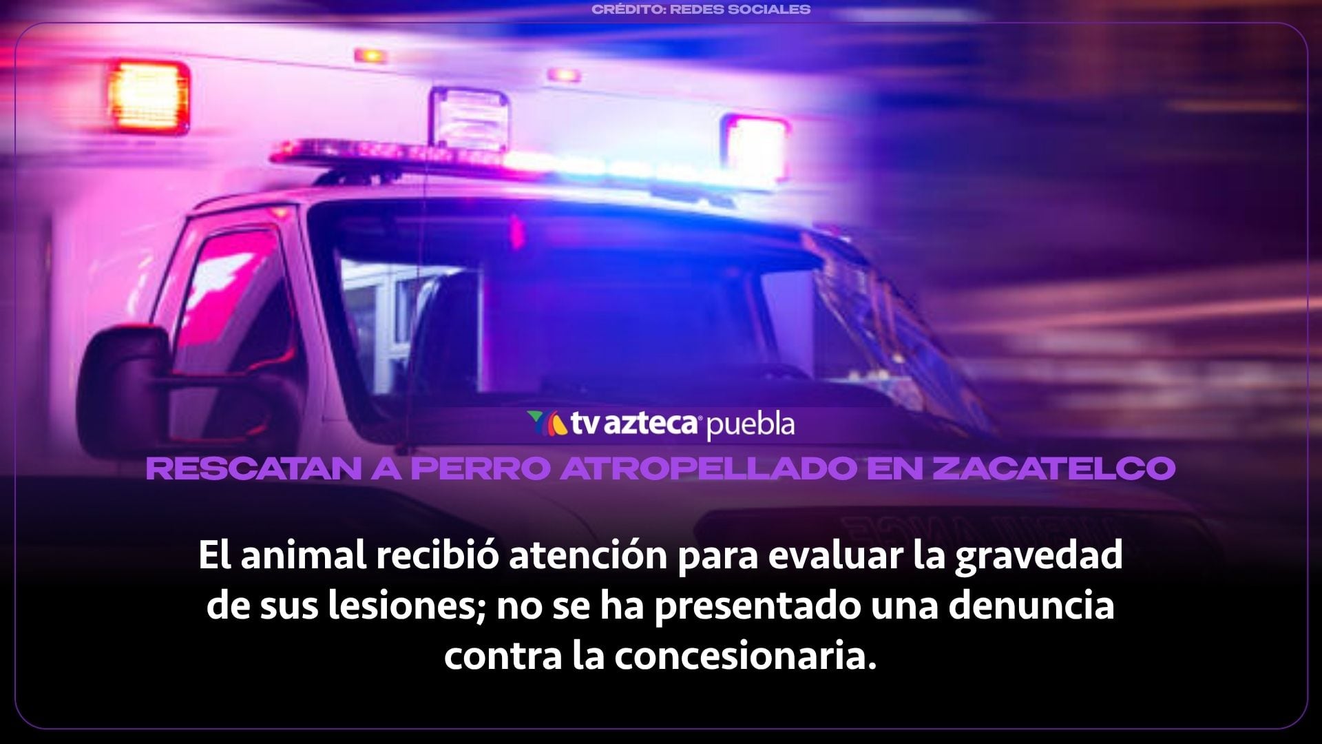 Rescatan a perro atropellado por una unidad de transporte público en Zacatelco, Tlaxcala