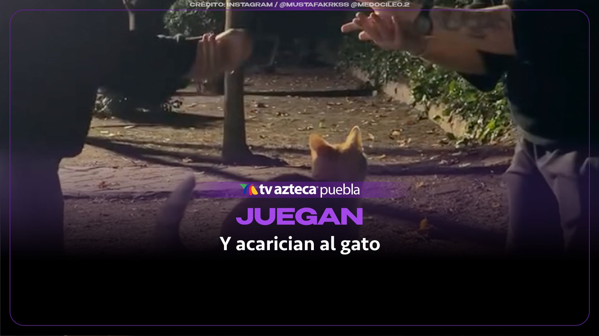 Jóvenes se vuelven virales al competir en un clásico juego de “Piedra, Papel o Tijera” para ganarse el derecho de acariciar a un michi