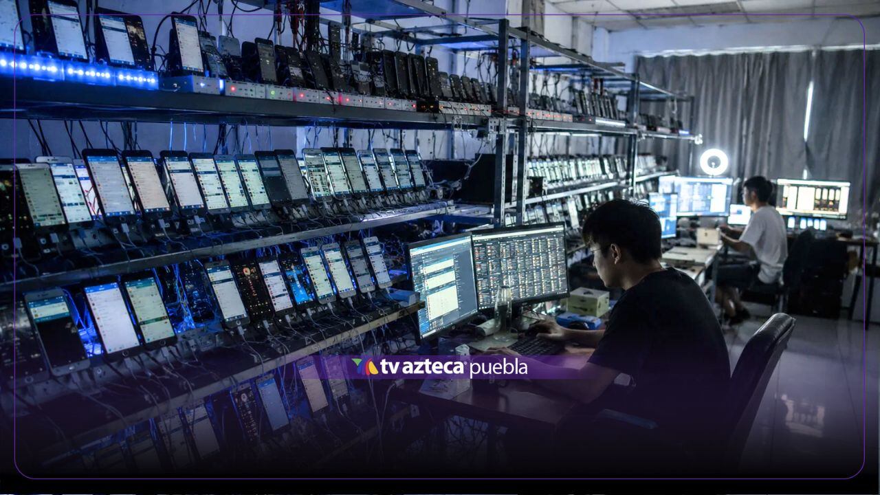 ¿Cuentas falsas en redes? Estas señales pueden ayudarte a detectarlas 