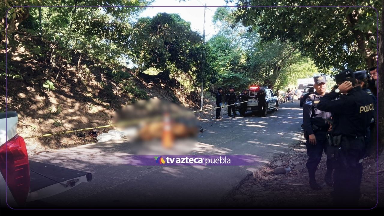 IMAGEN FUERTE: Muere conductor tras arrollar a VACA; así se vio la zona 