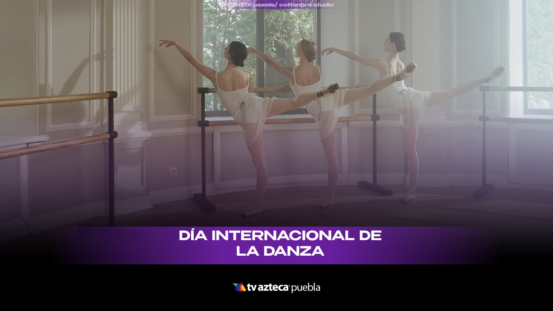 danz.png