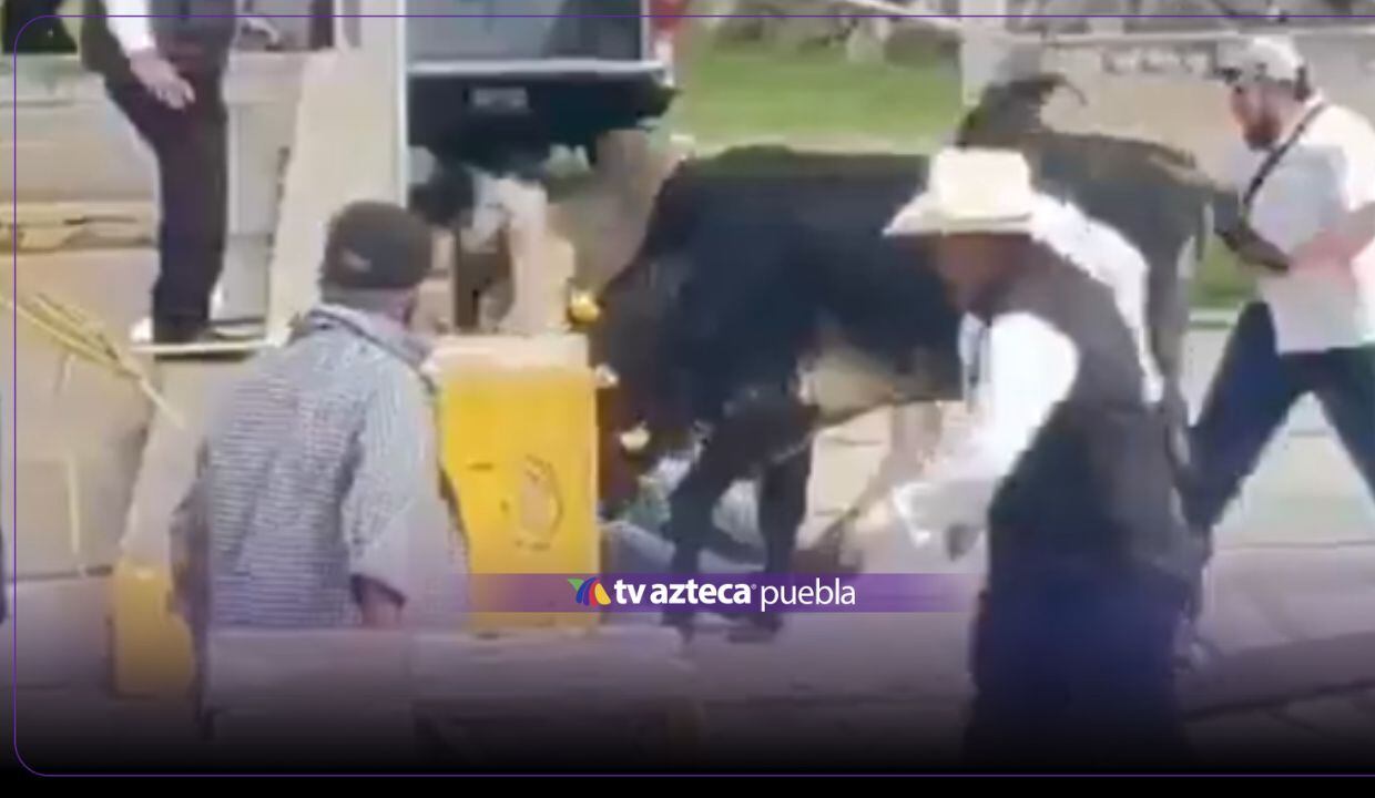 VIDEO FUERTE: ¡Acaba en tragedia! Yunta embiste a campesino en fiesta patronal en Puebla