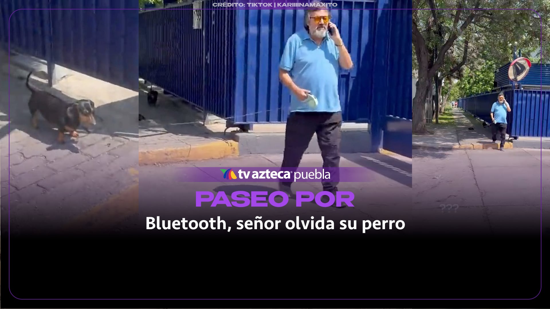 ¡Paseo por Bluetooth! Señor olvida a su perrito salchicha
