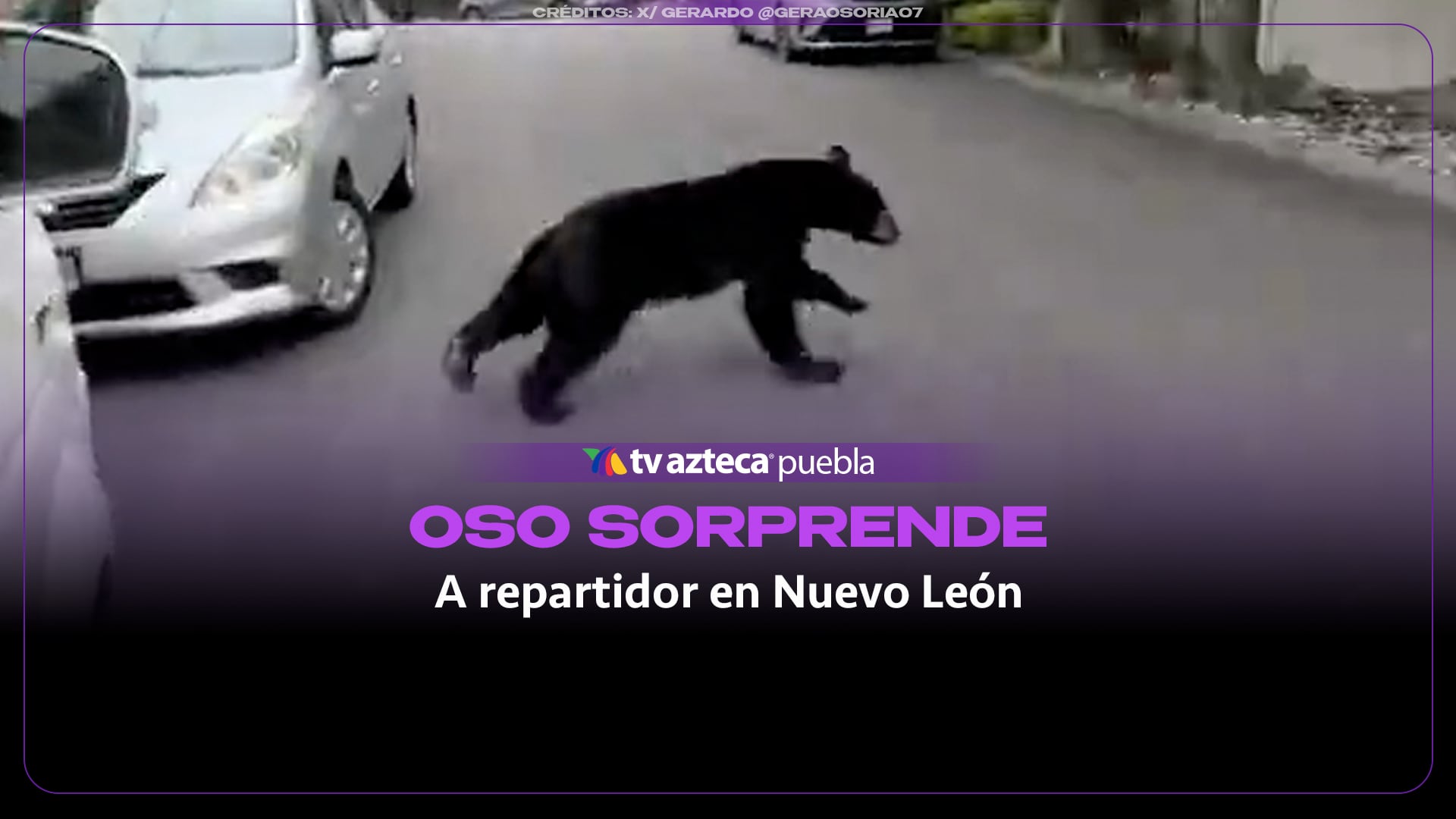 Oso sorprende a repartidor en Nuevo León y lo hace refugiarse